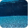 GC210 Peacock