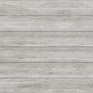 Silver Elm