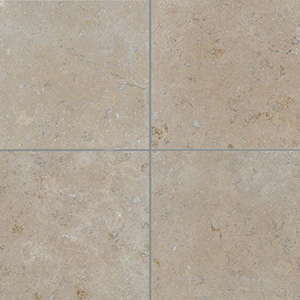 Dune Limestone Tiles and Pavers