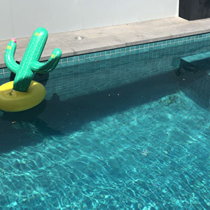 CM168 Green