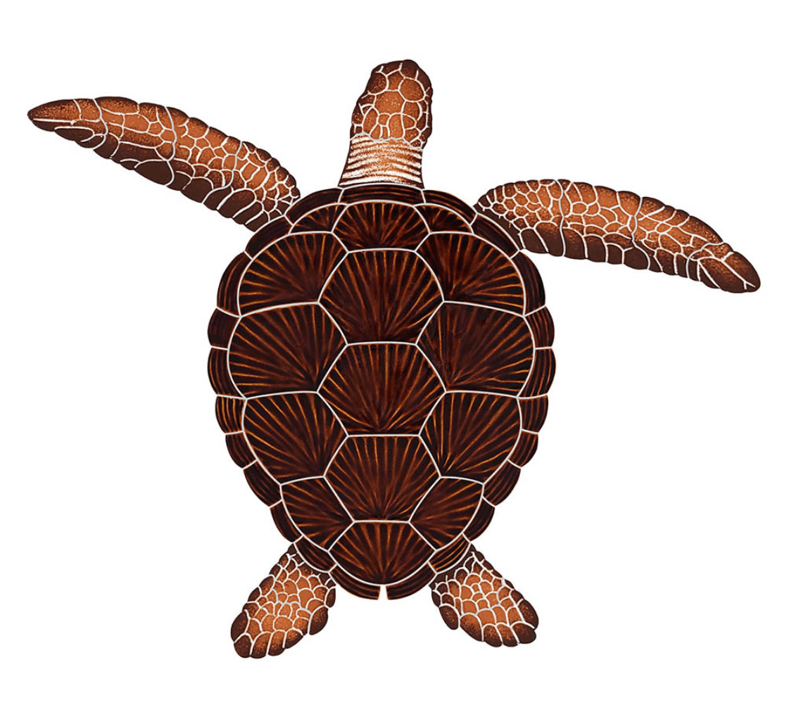 Brown Loggerhead Turtle - Large 1 Brown Loggerhead Turtle mosaic