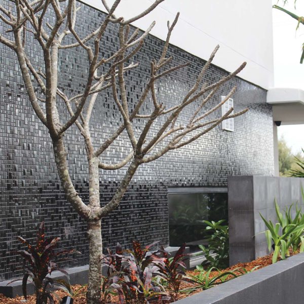 CMC475 Urban Black feature wall