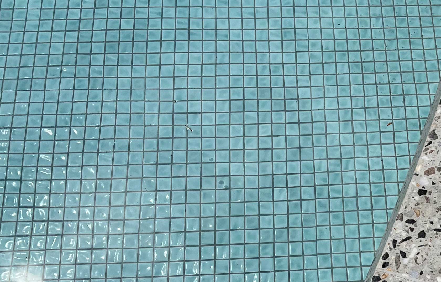 CMC570 Sea Mist fully tiled pool