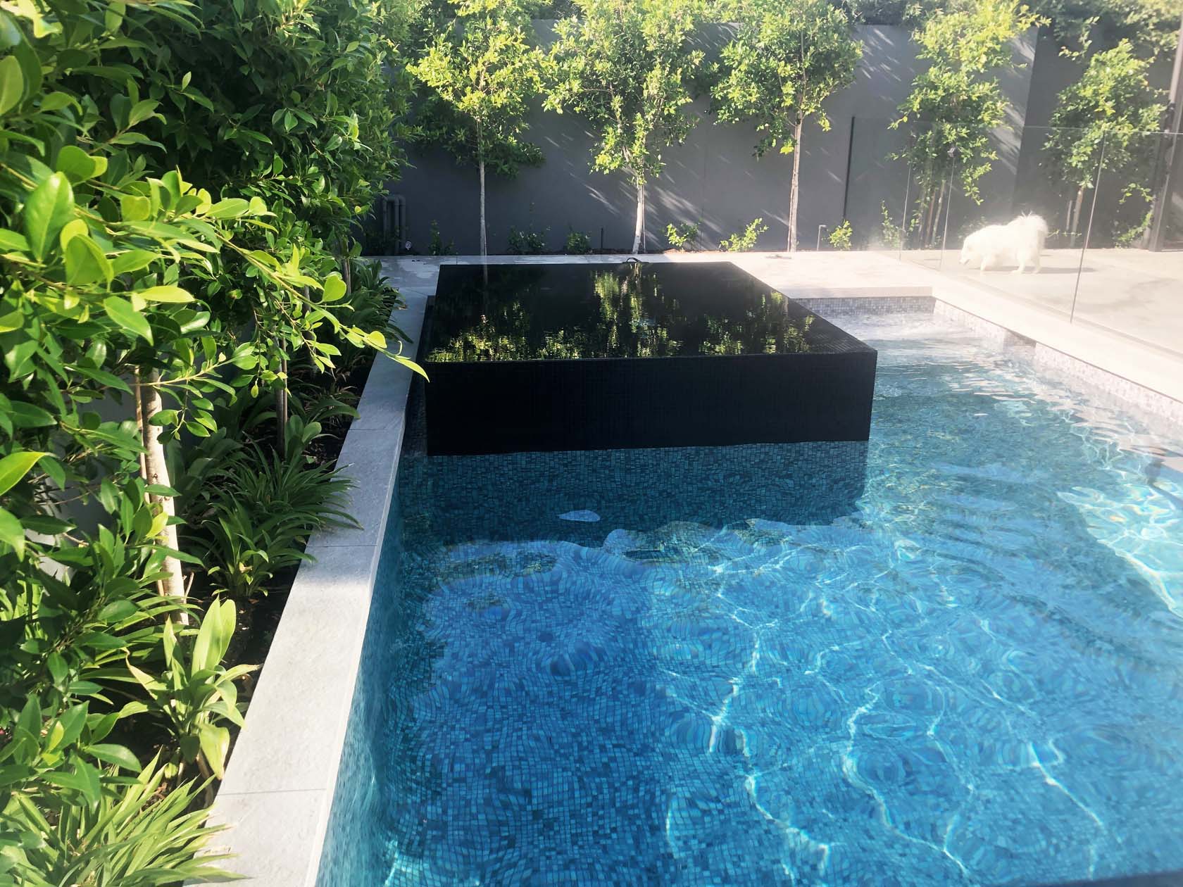 GC095 Black fully tiled spa and GC480 Tempest fully tiled pool