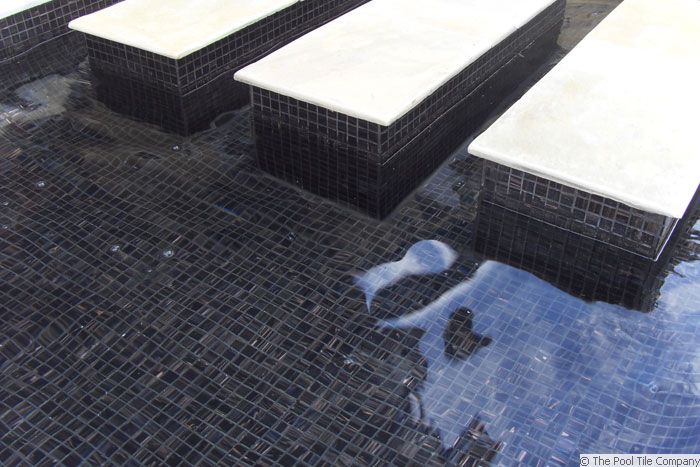 GC099 Black Caramel fully tiled pool and spa