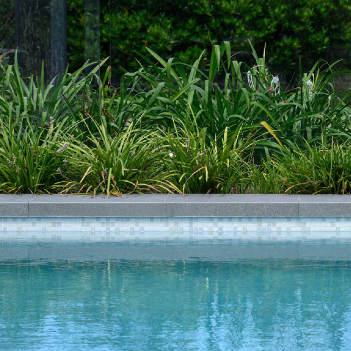 Home 5 Magnificent Pool with Mosaic Tiles supplied by Pool Tile Company