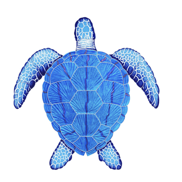 Blue Loggerhead Turtle Large